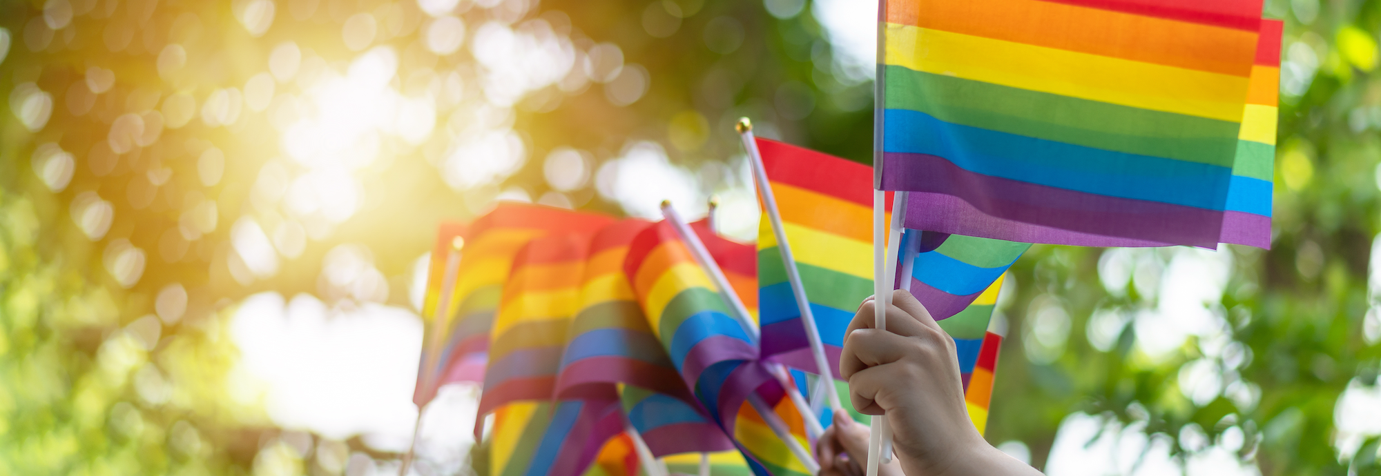 CHCANYS Celebrates Pride Month!